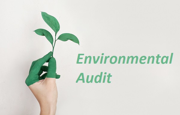Auditing e sostenibilità: gli auditor sono più scettici con le aziende "green"?