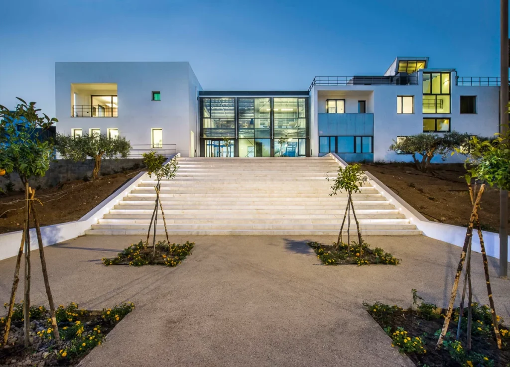 Resilienza e sostenibilità: come un'azienda vinicola siciliana sta affrontando le sfide del futuro