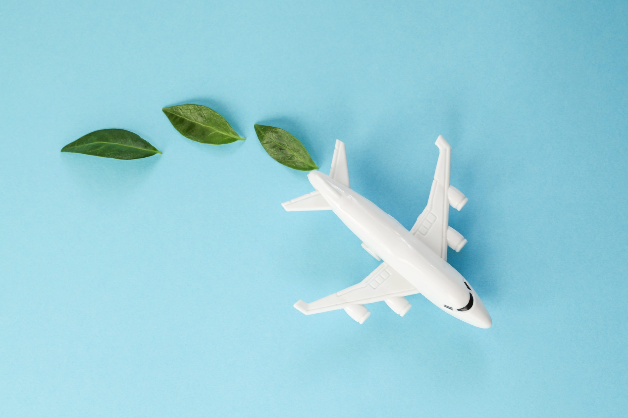 The social side of sustainability in business models: myth or strategic lever for low-cost airlines?